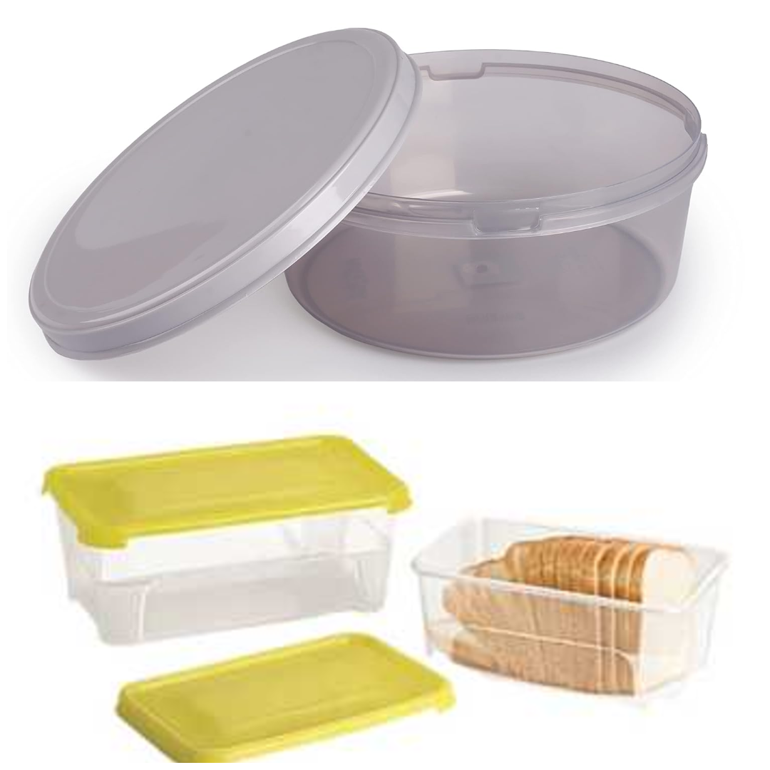 Container Food Box